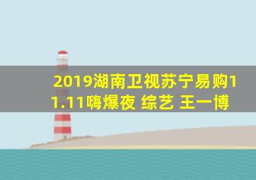 2019湖南卫视苏宁易购11.11嗨爆夜 综艺 王一博